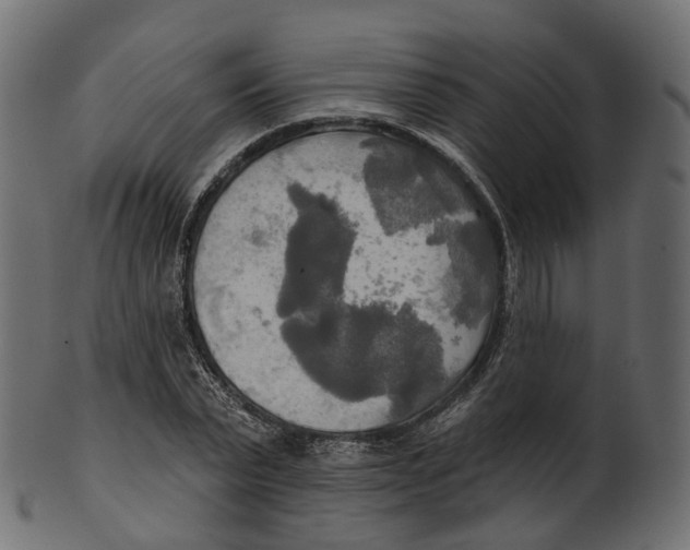 X0000100470783200807031826