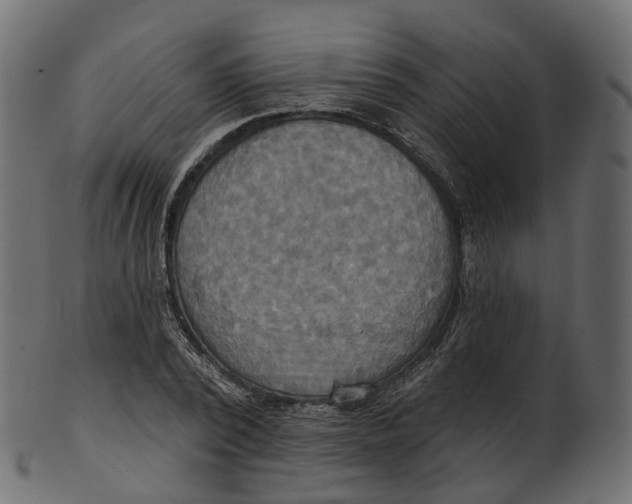 X0000100470784200807031826