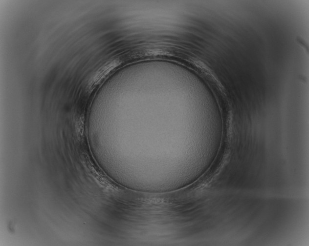 X0000100470785200807031826