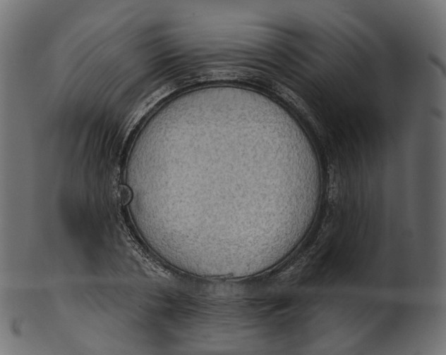 X0000100470786200807031826