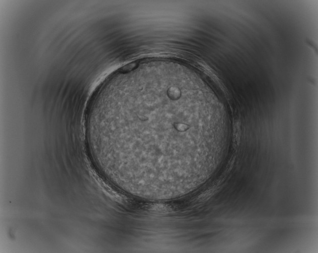 X0000100470787200807031826