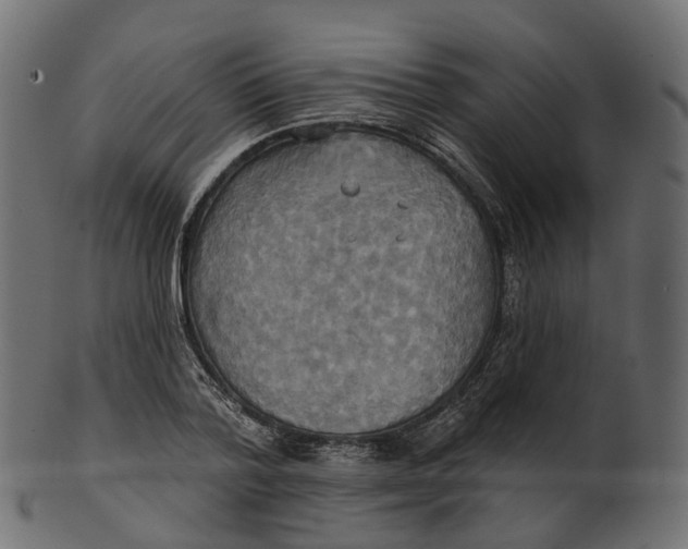 X0000100470788200807031826