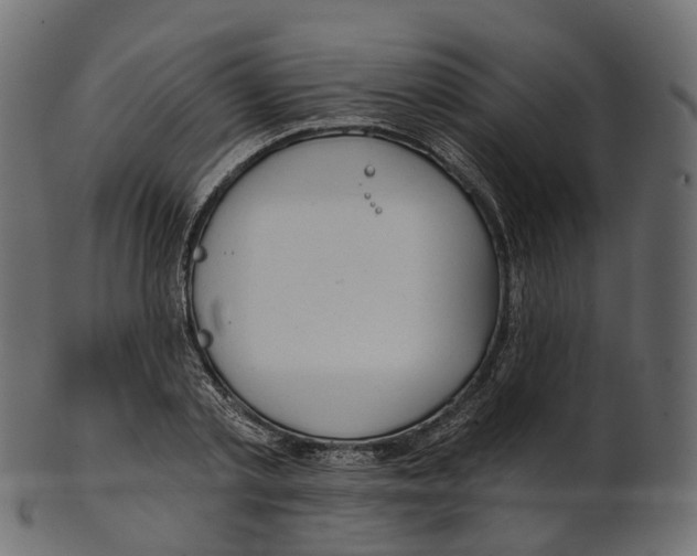 X0000100470789200807031826