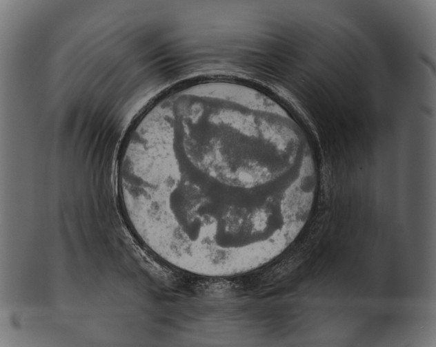 X0000100470791200807031826