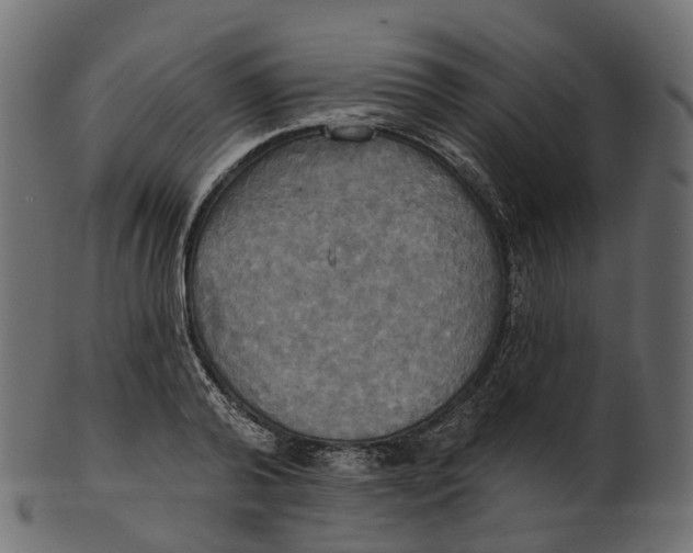 X0000100470792200807031826