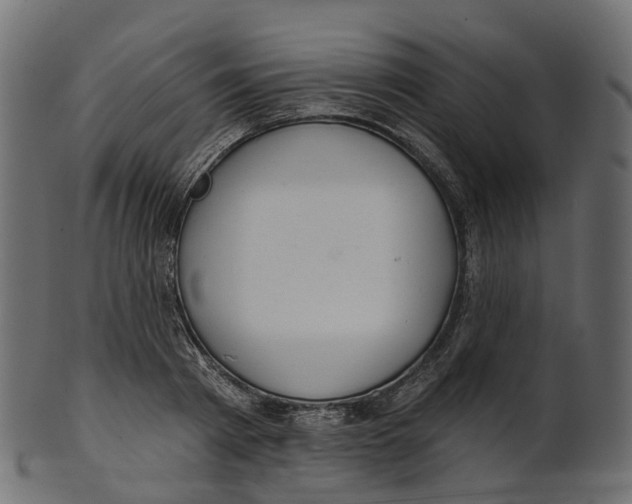 X0000100470793200807031826