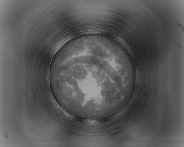 X0000100470794200807031826