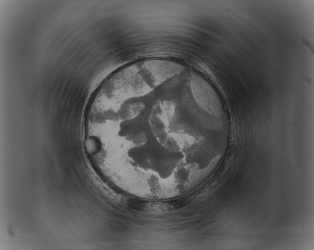 X0000100470795200807031826