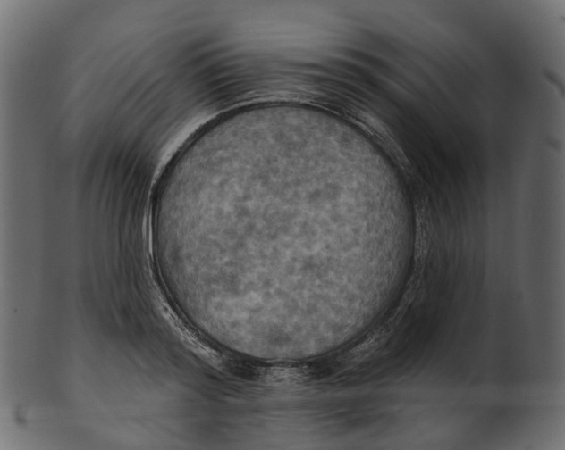 X0000100470796200807031826