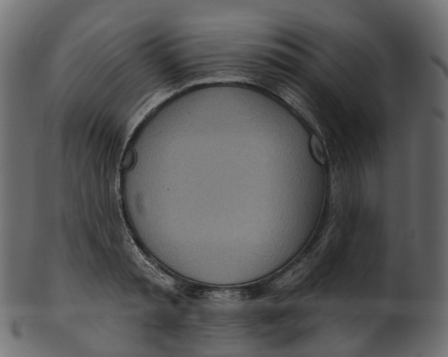 X0000100470797200807031826