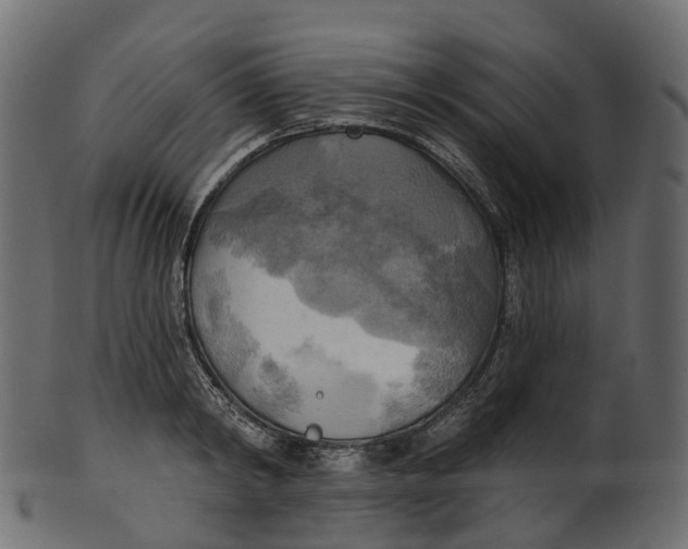 X0000100470798200807031826