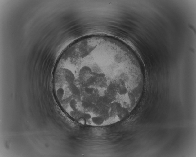 X0000100470799200807031826