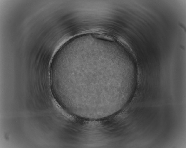 X0000100470800200807031826