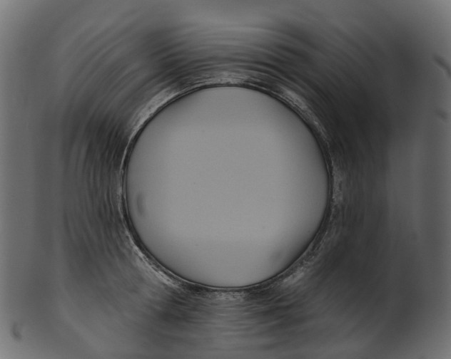 X0000100470802200807031826