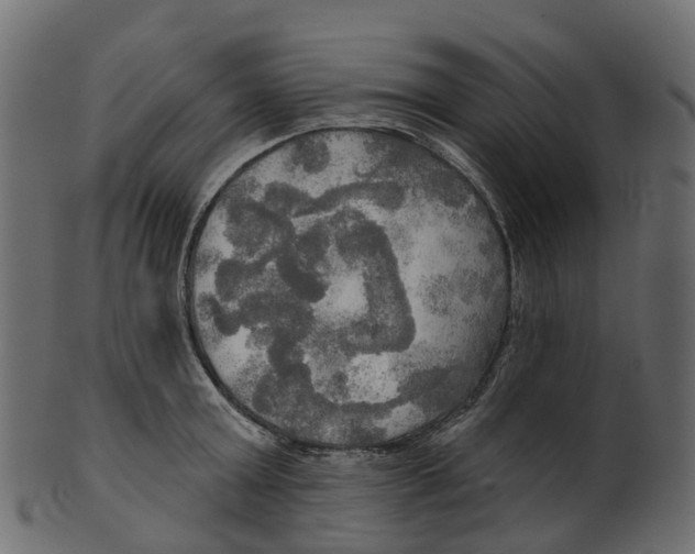 X0000100470803200807031826