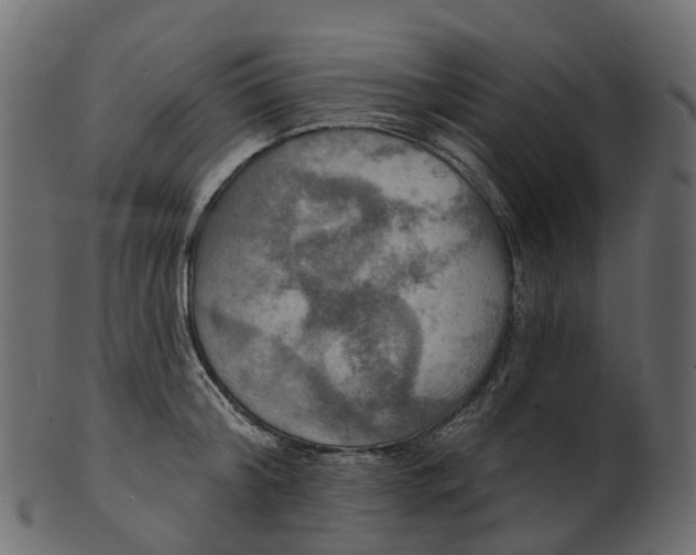 X0000100470804200807031826