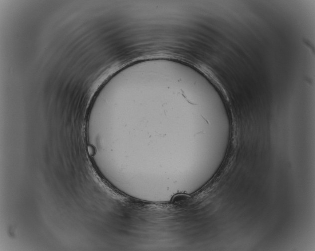 X0000100470805200807031826