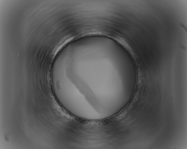 X0000100470806200807031826