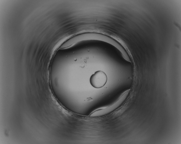 X0000100470807200807031826