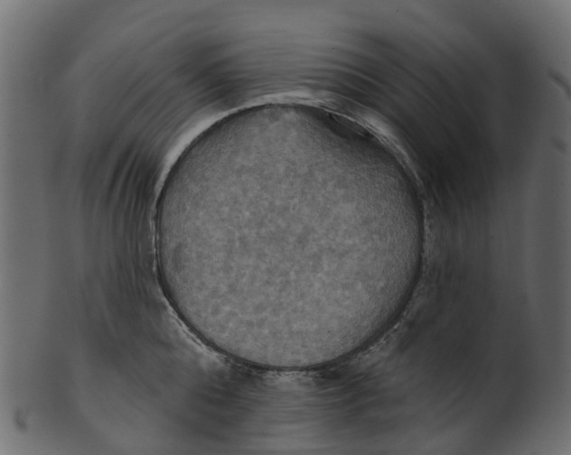 X0000100470808200807031826