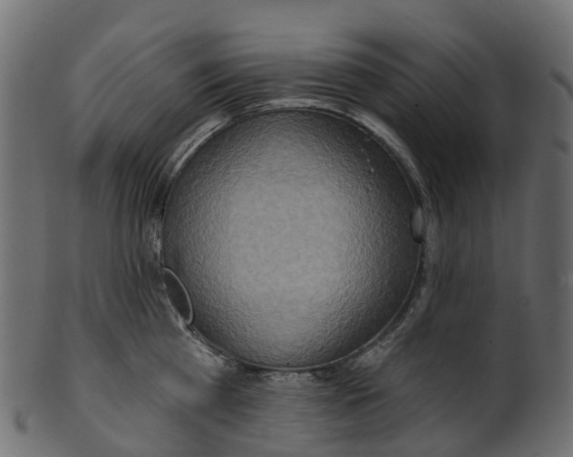 X0000100470809200807031826