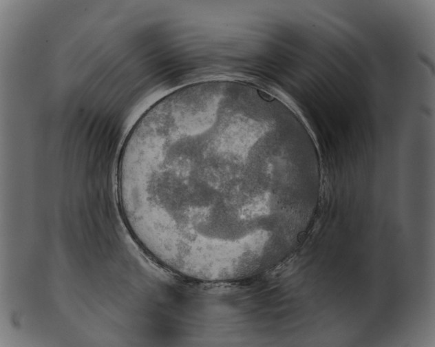 X0000100470811200807031826