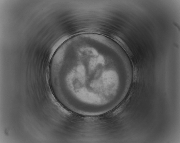 X0000100470812200807031826