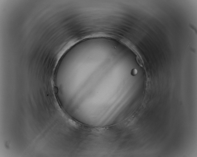 X0000100470813200807031826