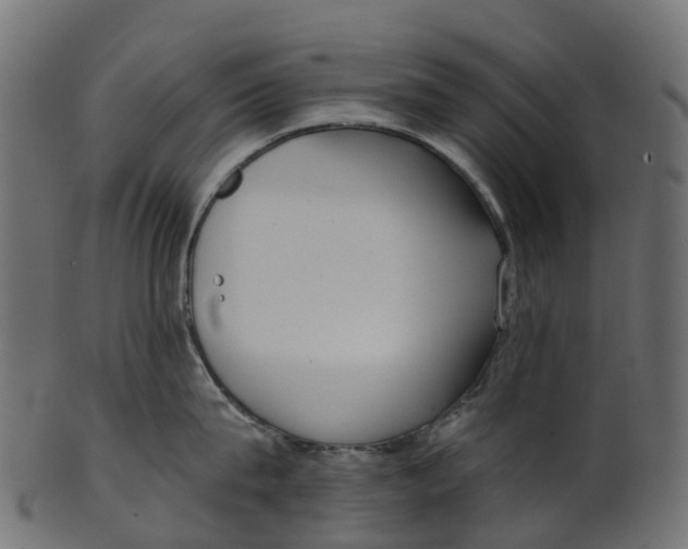 X0000100470815200807031826