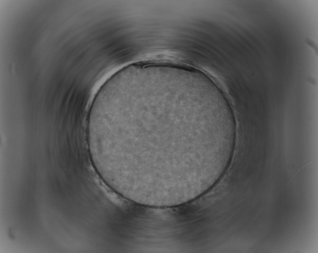 X0000100470816200807031826