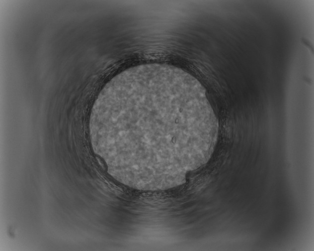 X0000100470817200807031825