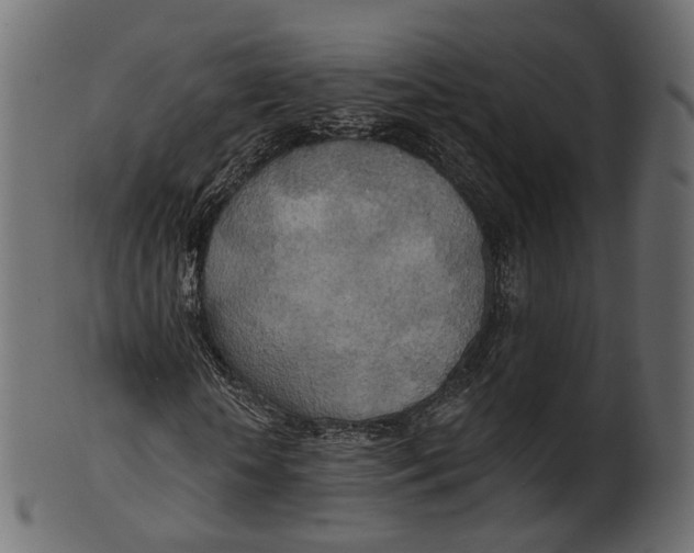 X0000100470818200807031825