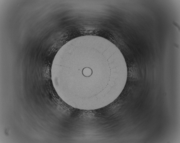 X0000100470820200807031825