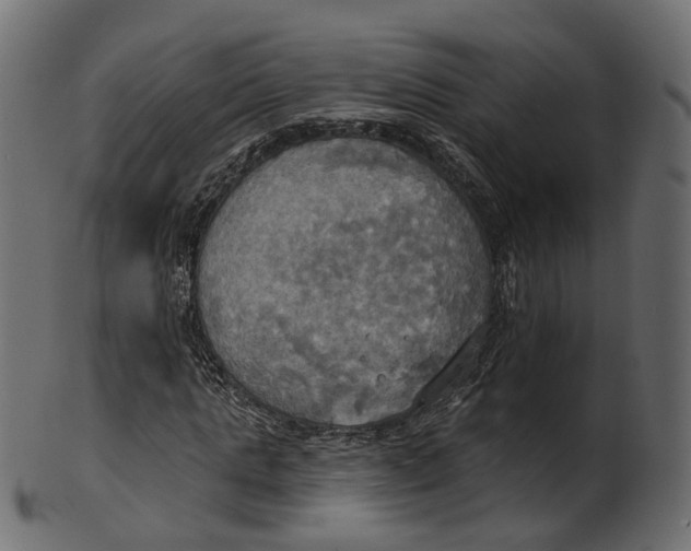 X0000100470821200807031825