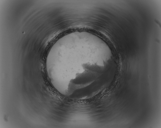 X0000100470823200807031825