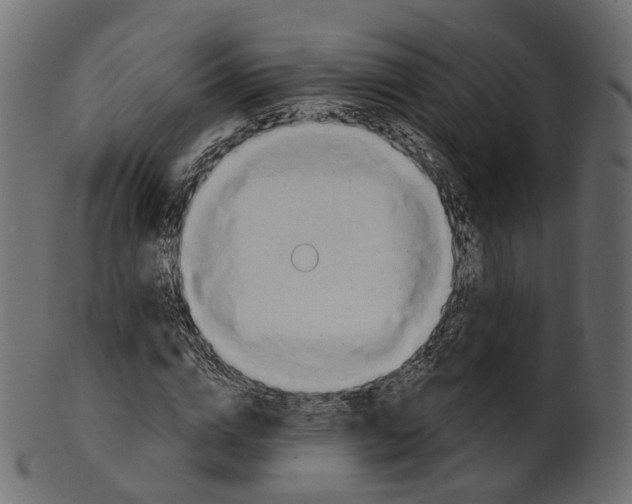 X0000100470824200807031825