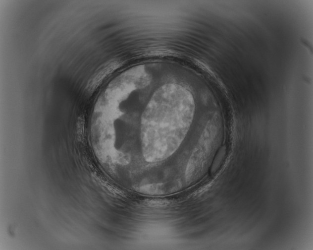 X0000100470825200807031825