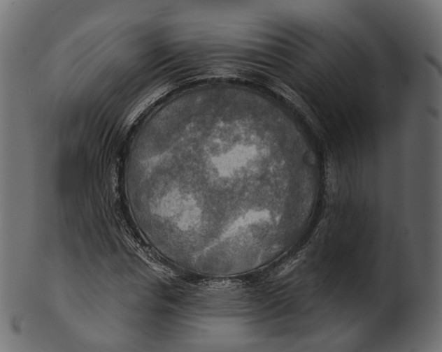 X0000100470826200807031825