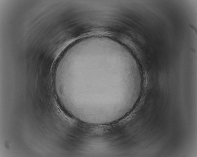 X0000100470828200807031825