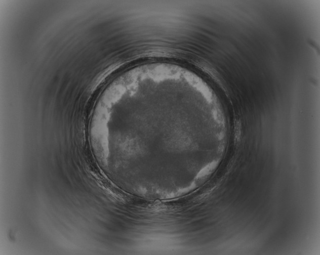 X0000100470829200807031825