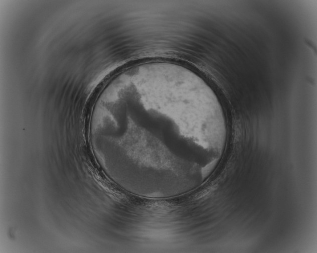 X0000100470830200807031825