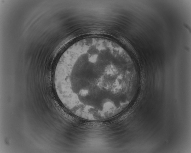 X0000100470831200807031825