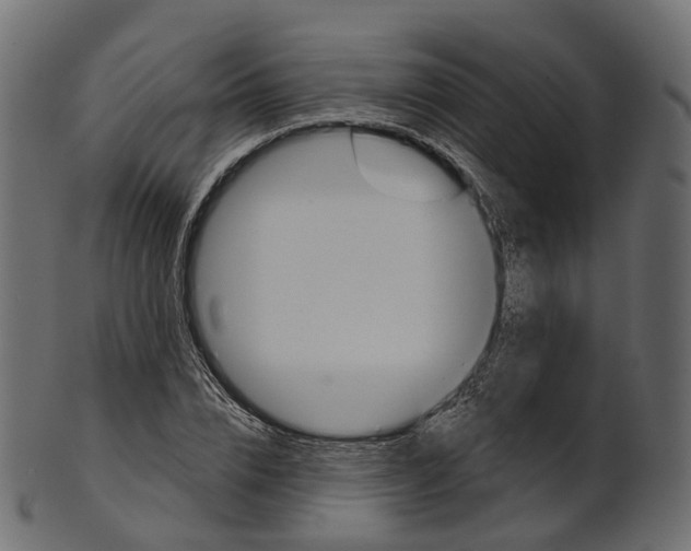 X0000100470832200807031825