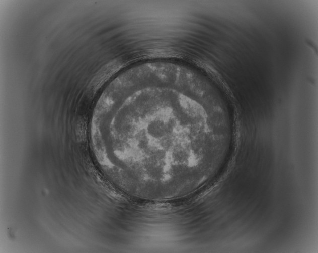 X0000100470833200807031825