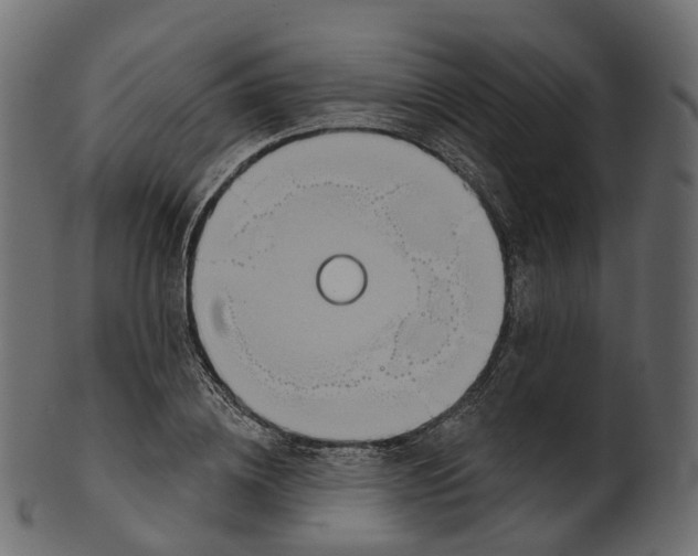 X0000100470836200807031825