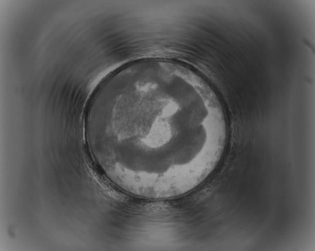 X0000100470838200807031825