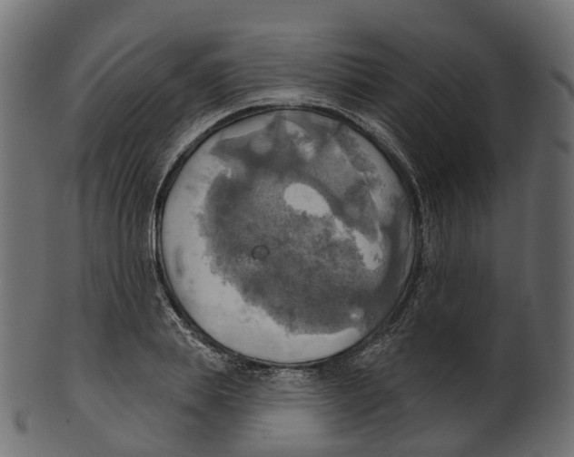 X0000100470839200807031825