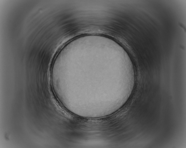 X0000100470840200807031825