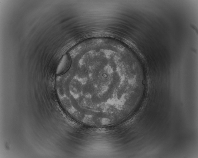 X0000100470841200807031825