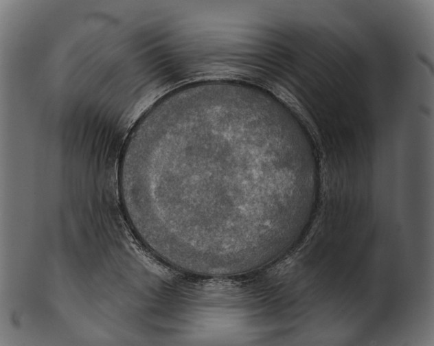 X0000100470842200807031825